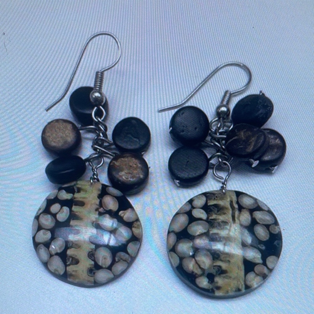 Elegant Black and Brown Dangle Earrings - Picture 1 of 1
